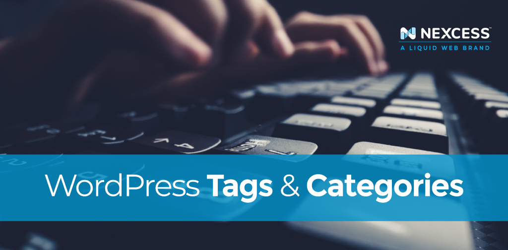 What is a Tag in WordPress? How to Use Tags in WordPress